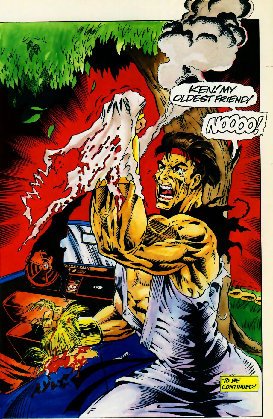 Read online Street Fighter (1994) comic -  Issue #2 - 25