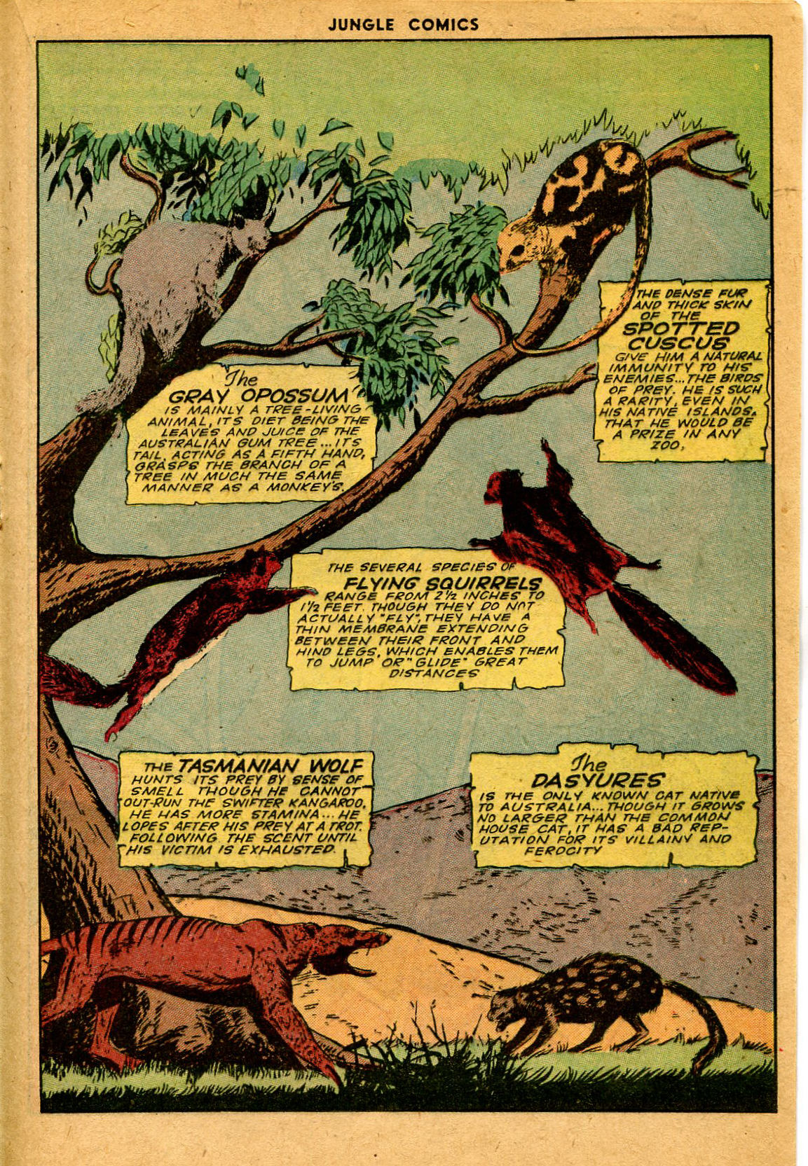 Read online Jungle Comics comic -  Issue #63 - 30