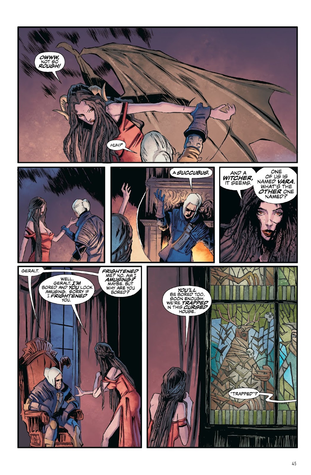 The Witcher: Library Edition issue TPB (Part 1) - Page 45