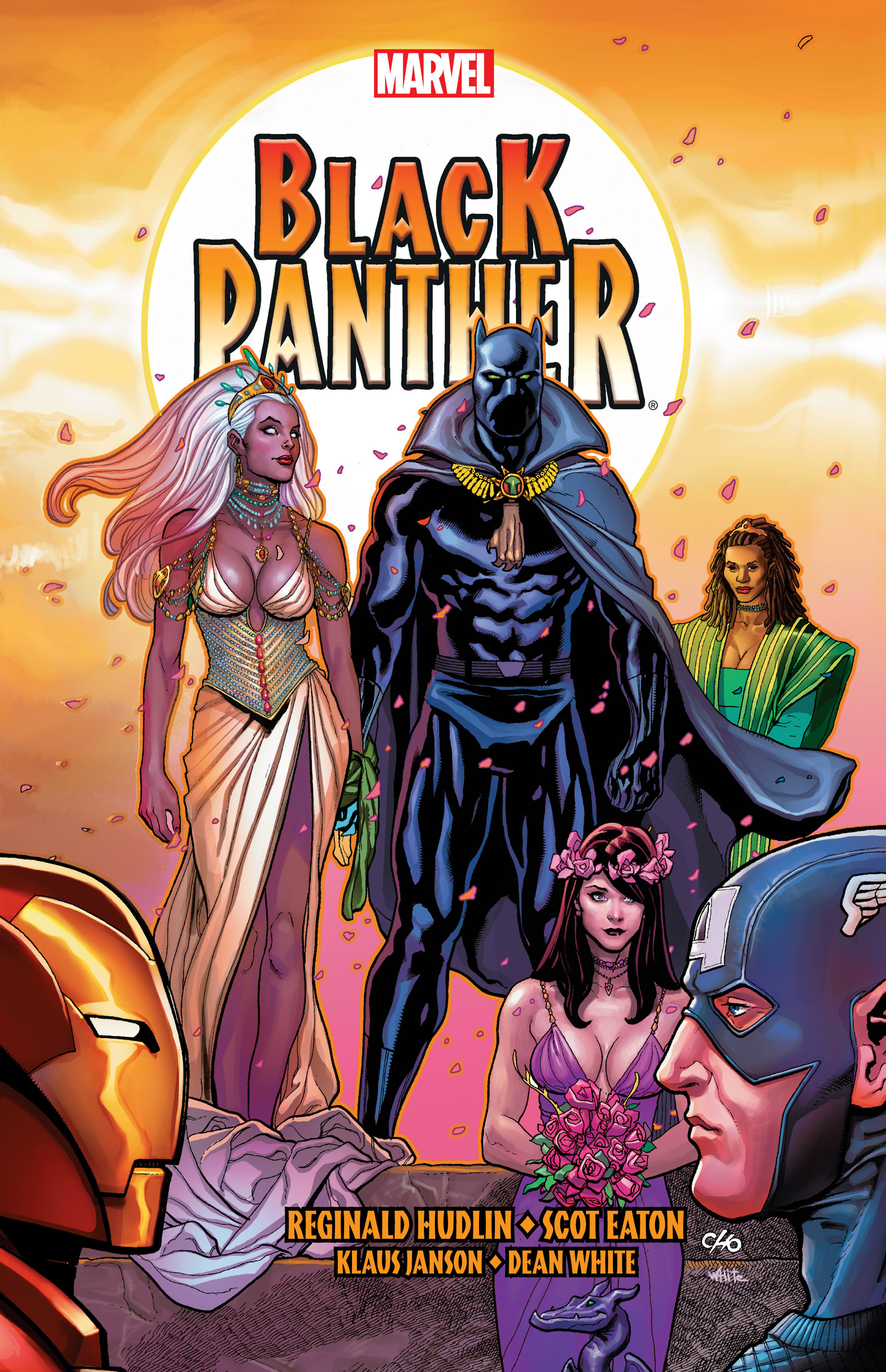 Read online Black Panther: The Bride comic -  Issue # TPB - 1