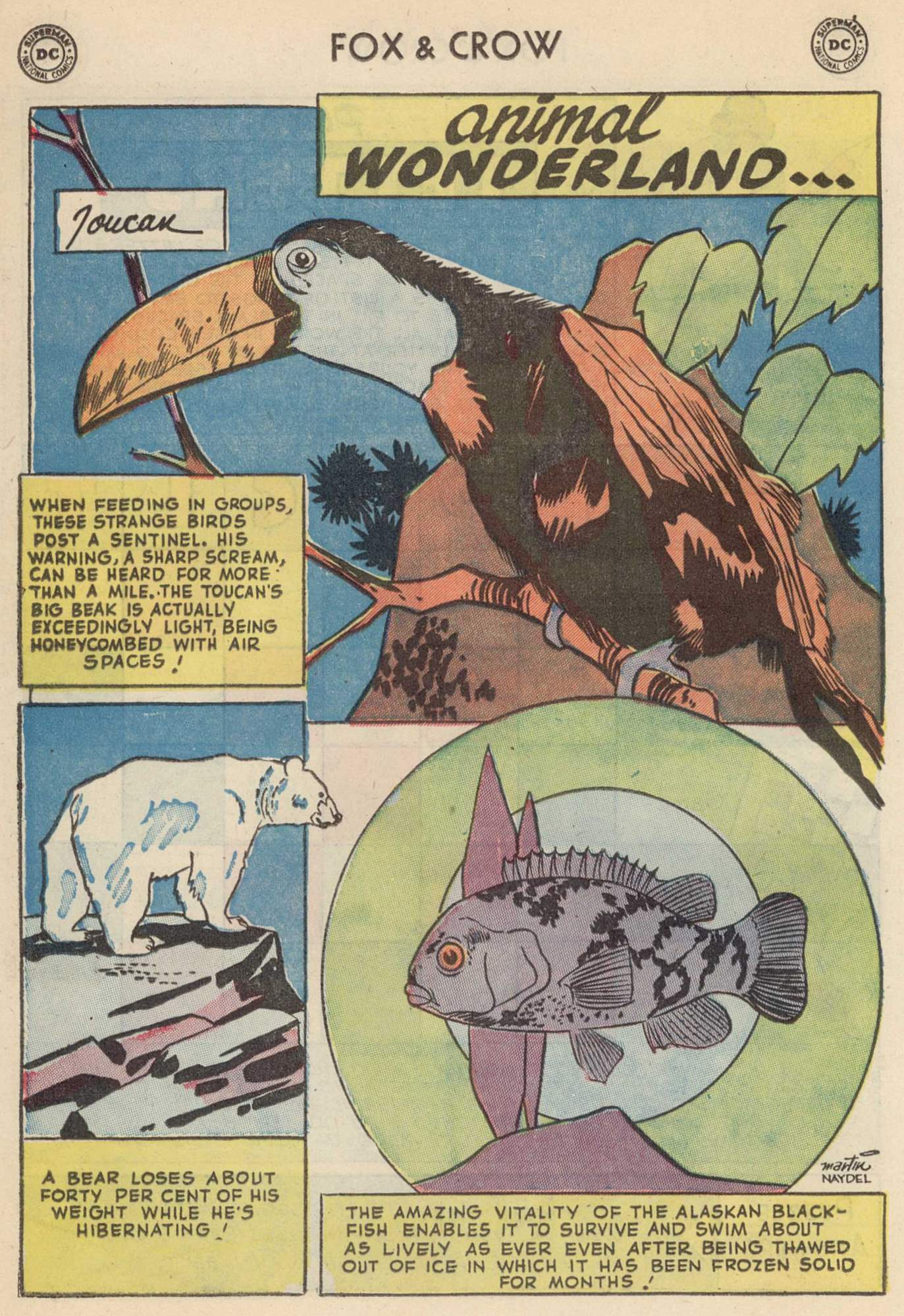 Read online The Fox and the Crow comic -  Issue #7 - 20