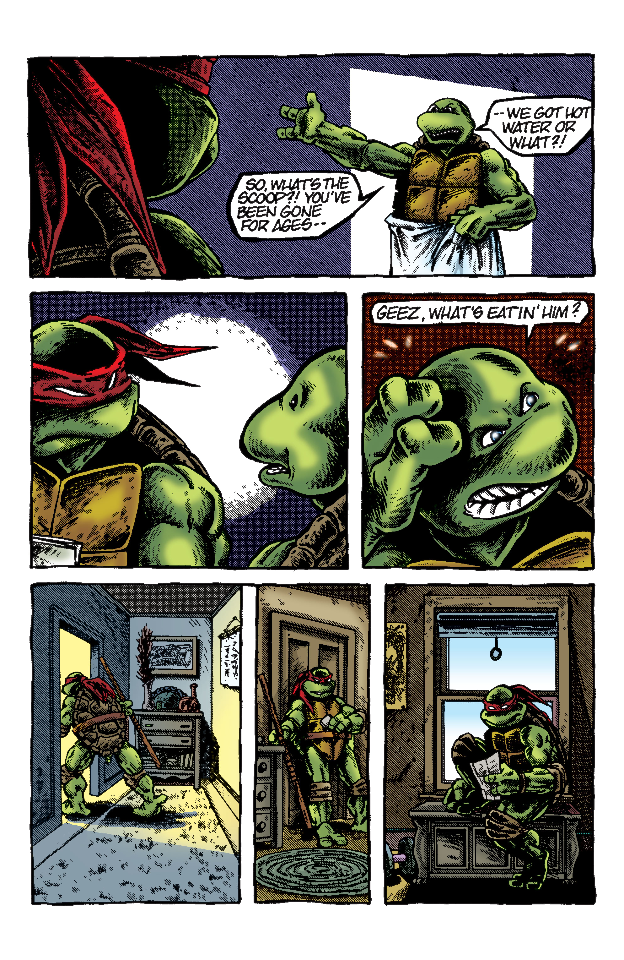 Read online TMNT: Best of Raphael comic -  Issue # TPB - 31