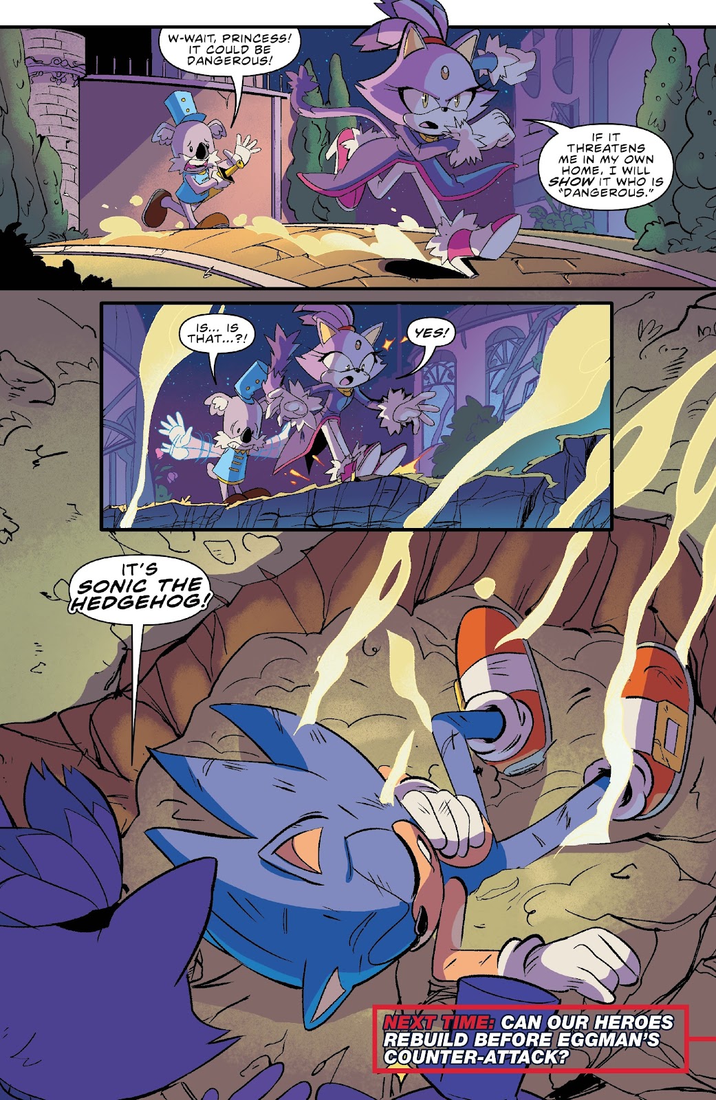 Sonic the Hedgehog (2018) issue 30 - Page 24