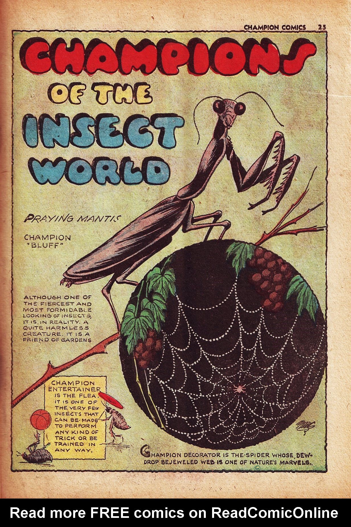 Read online Champion Comics comic -  Issue #5 - 27