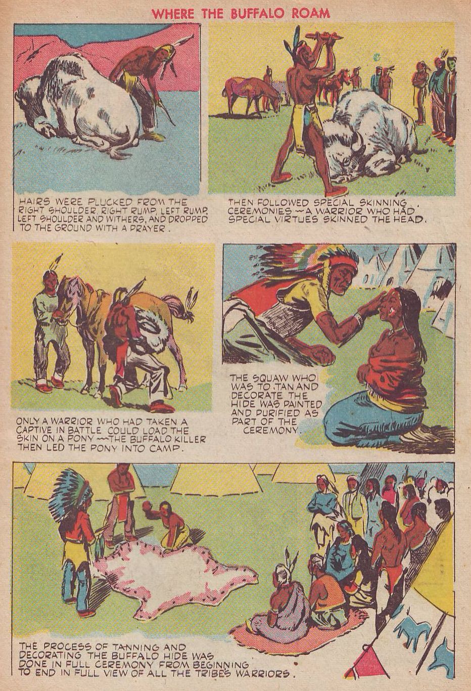 Read online Animal Comics comic -  Issue #25 - 49