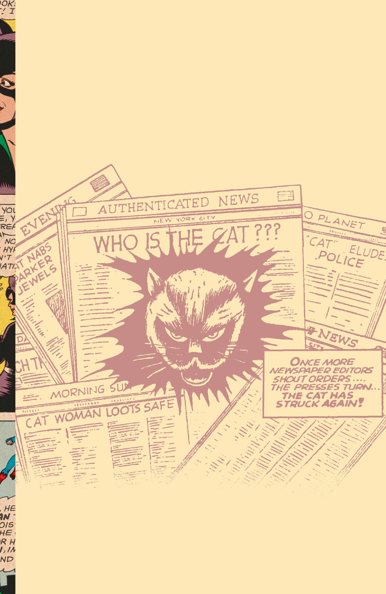 Read online Catwoman: A Celebration of 75 Years comic -  Issue # TPB (Part 1) - 10
