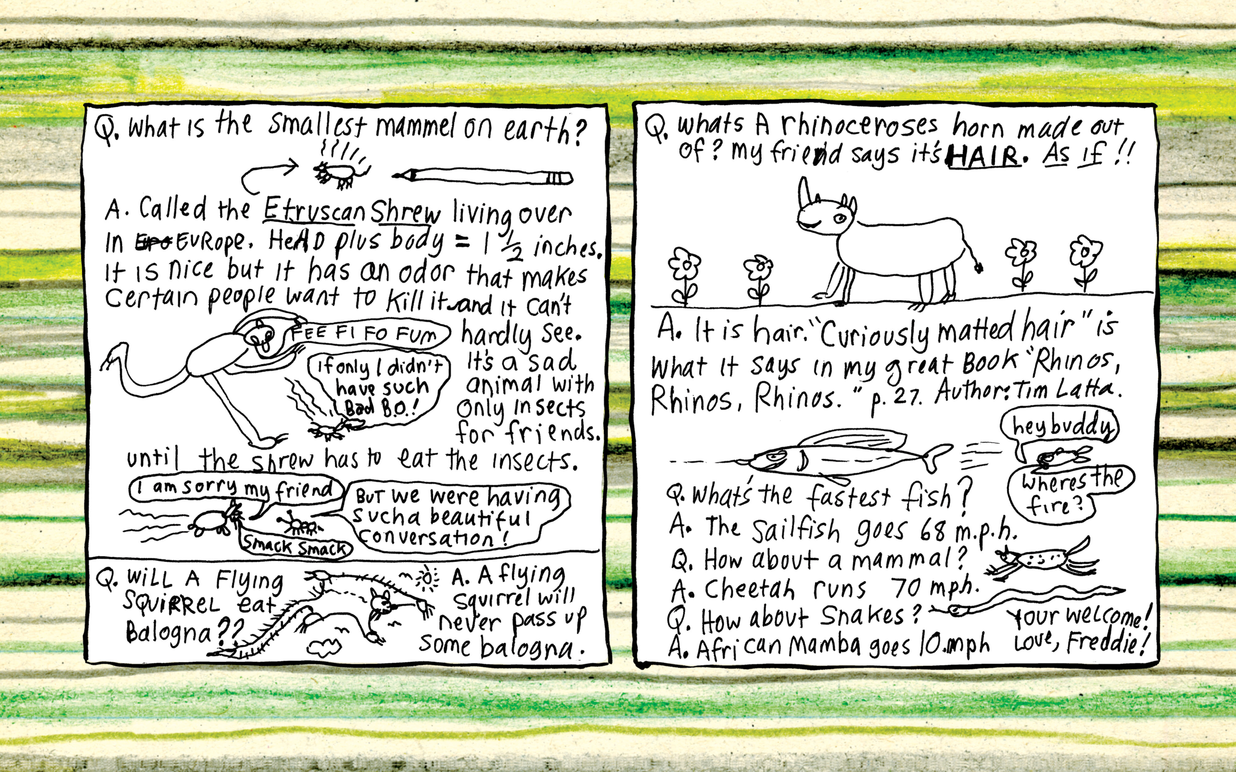 Read online The Freddie Stories comic -  Issue # TPB (Part 2) - 47
