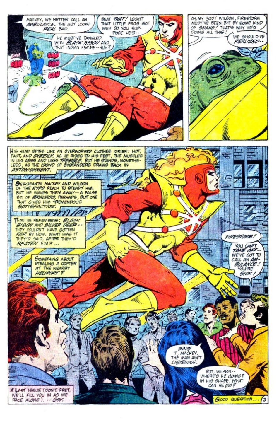 The Fury of Firestorm Issue #26 #30 - English 4