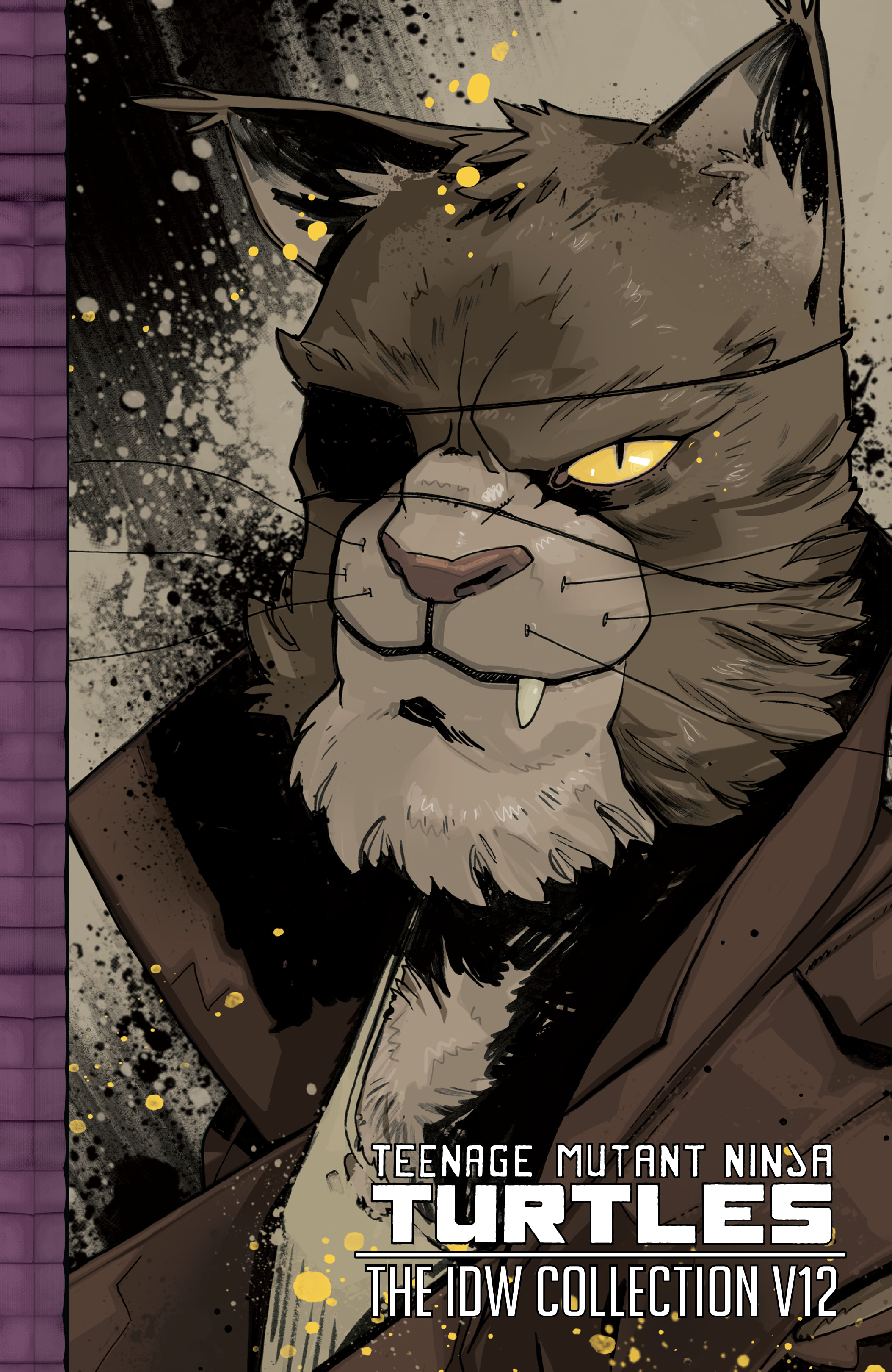 Read online Teenage Mutant Ninja Turtles: The IDW Collection comic -  Issue # TPB 12 (Part 1) - 1