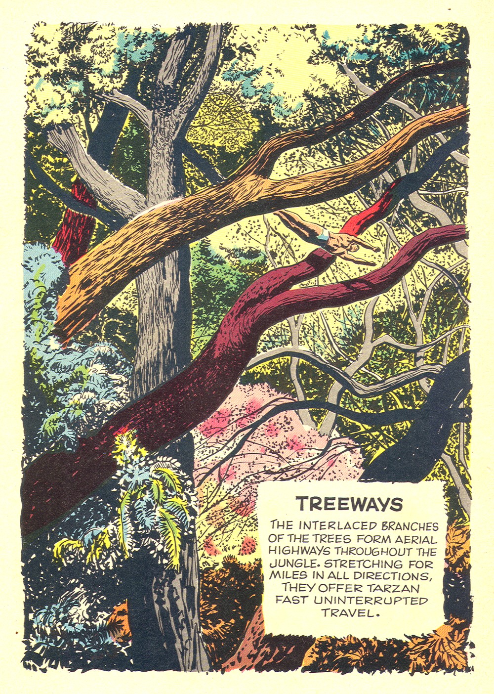 Read online Tarzan (1948) comic -  Issue #125 - 2