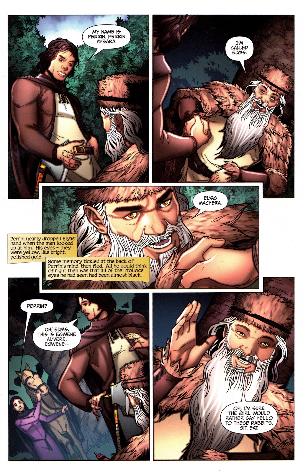 Robert Jordan's Wheel of Time: The Eye of the World issue 16 - Page 11