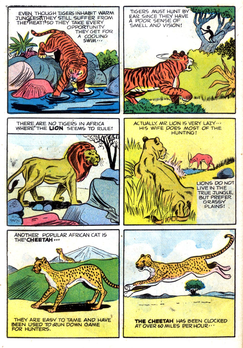 Read online Little Archie In Animal Land comic -  Issue #1 - 32