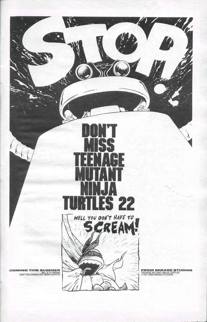 Teenage Mutant Ninja Turtles (1984) Issue #19 #19 - English 41