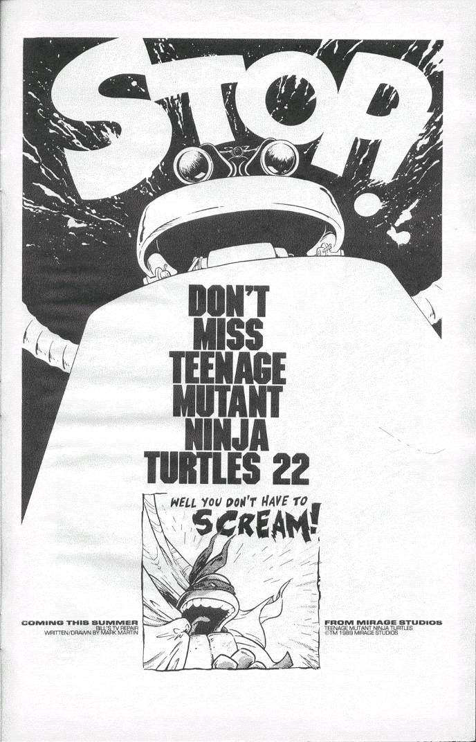 Read online Teenage Mutant Ninja Turtles (1984) comic -  Issue #19 - 41