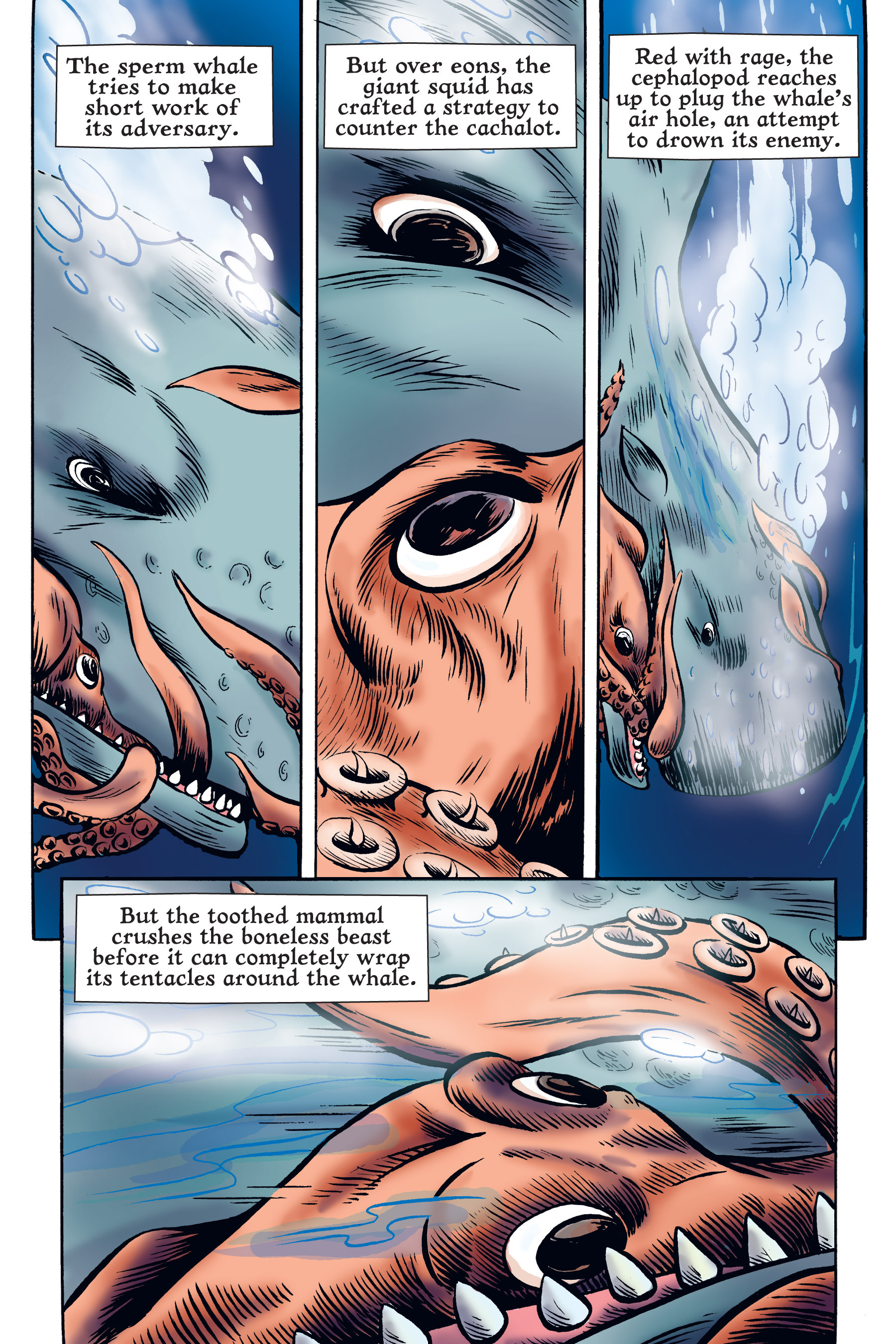 Read online Xoc: Journey of a Great White comic -  Issue # TPB - 52