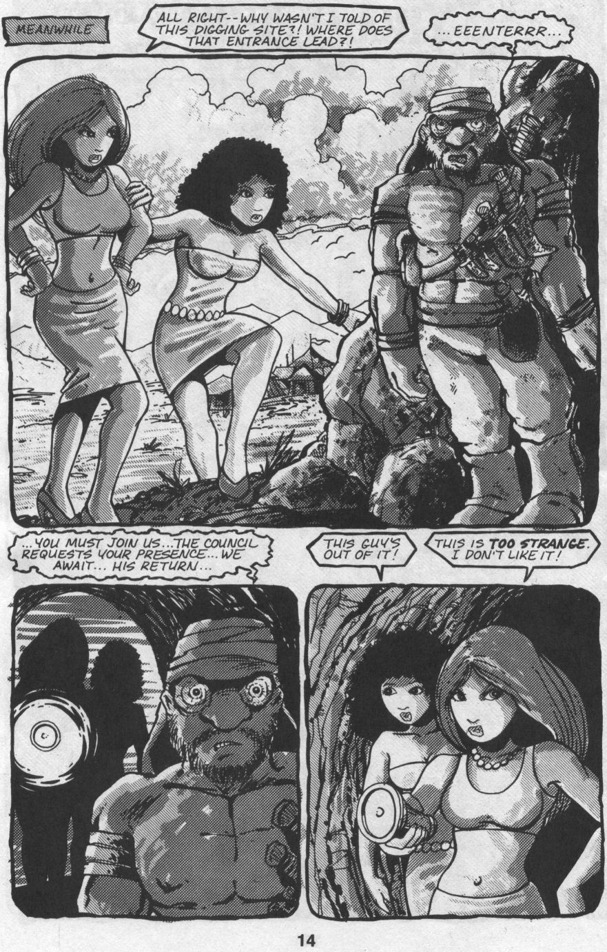 Teenage Mutant Ninja Turtles (1984) Issue #32 #32 - English 14