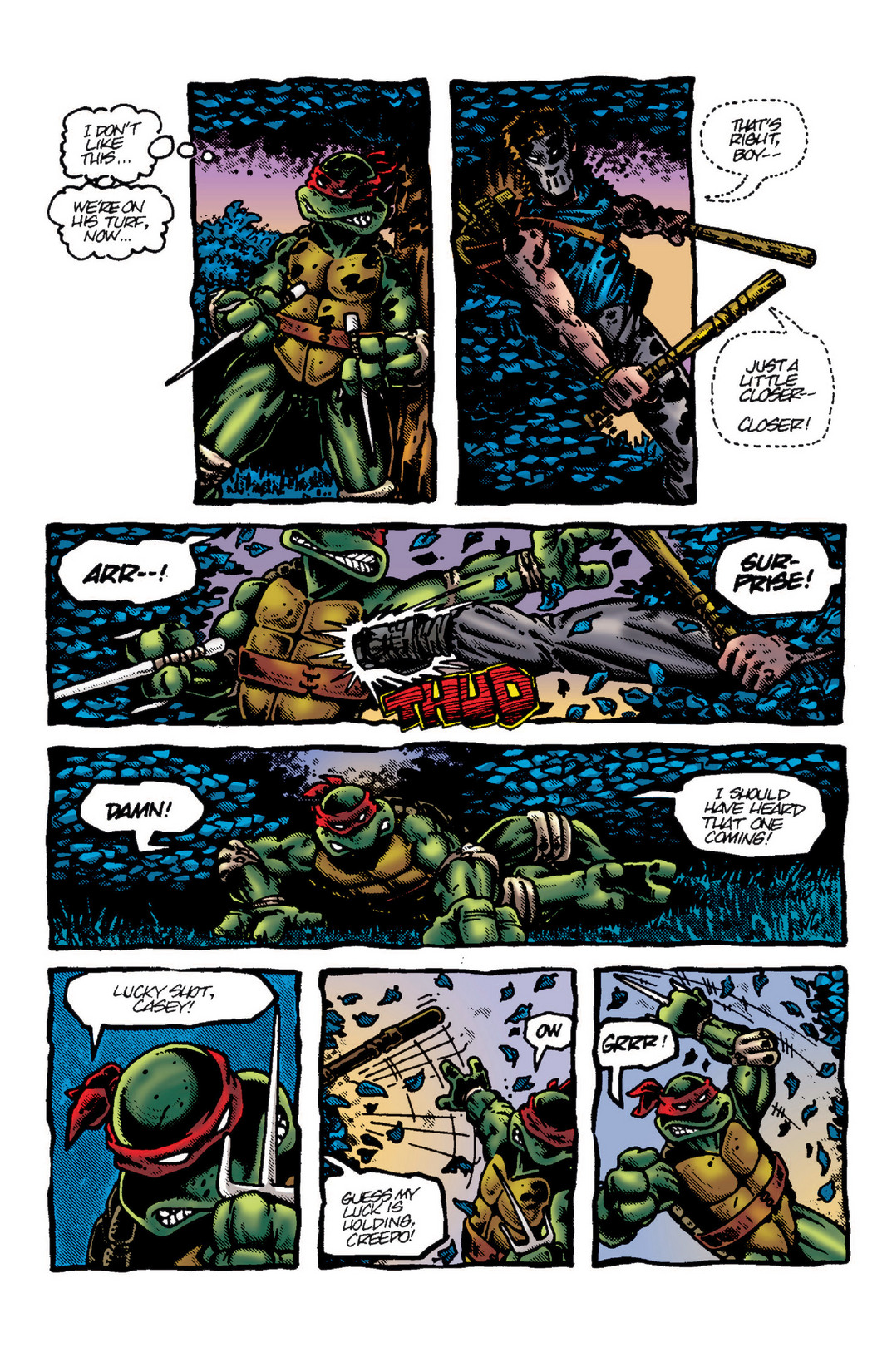 Read online Teenage Mutant Ninja Turtles Color Classics: Raphael Micro-Series One-Shot comic -  Issue # Full - 23