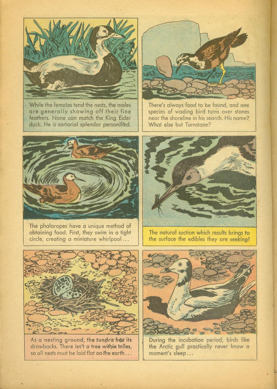 Read online Four Color Comics comic -  Issue #943 - 20