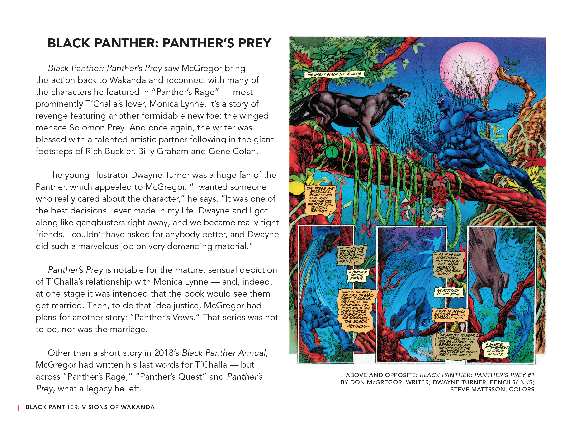 Read online Black Panther: Visions of Wakanda comic -  Issue # TPB (Part 2) - 24