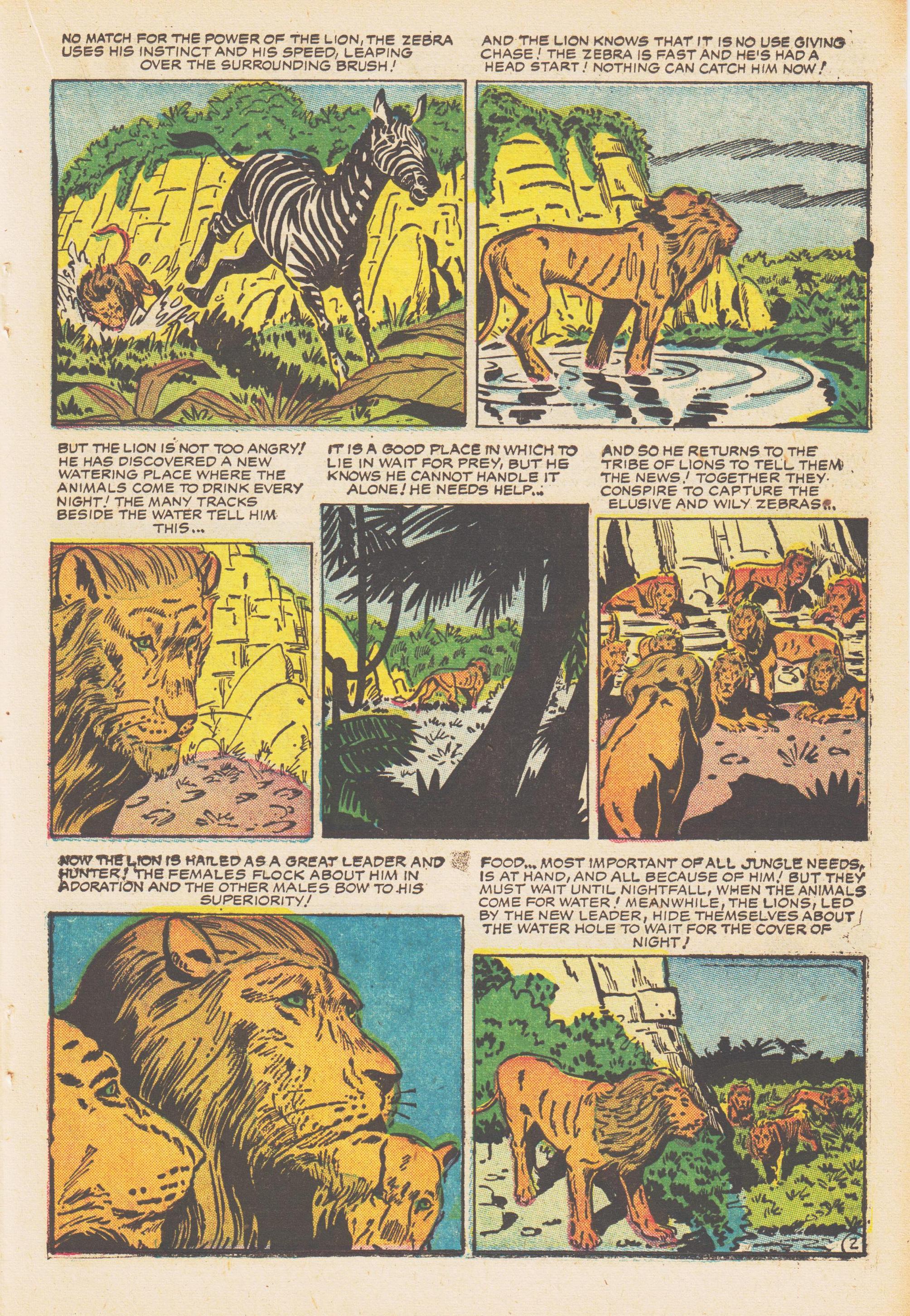 Read online Jungle Tales comic -  Issue #7 - 21