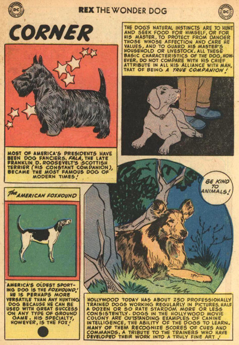 Read online The Adventures of Rex the Wonder Dog comic -  Issue #5 - 21