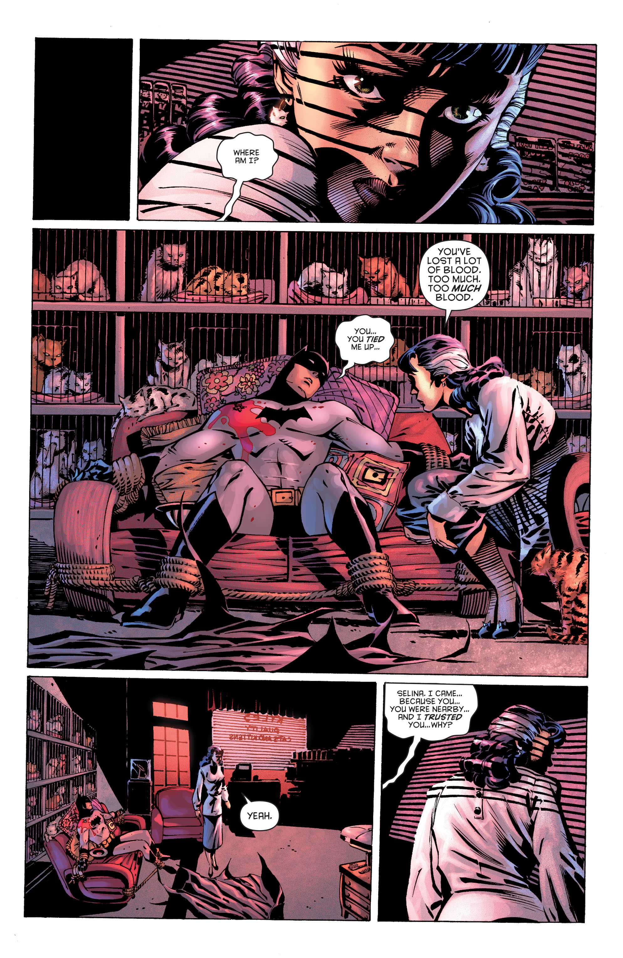 Read online Batman (1940) comic -  Issue #686 - 21