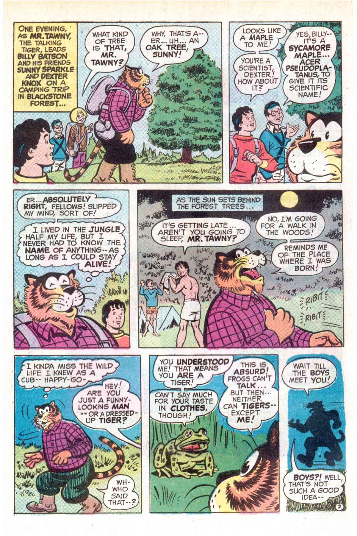 Read online Shazam! (1973) comic -  Issue #18 - 3