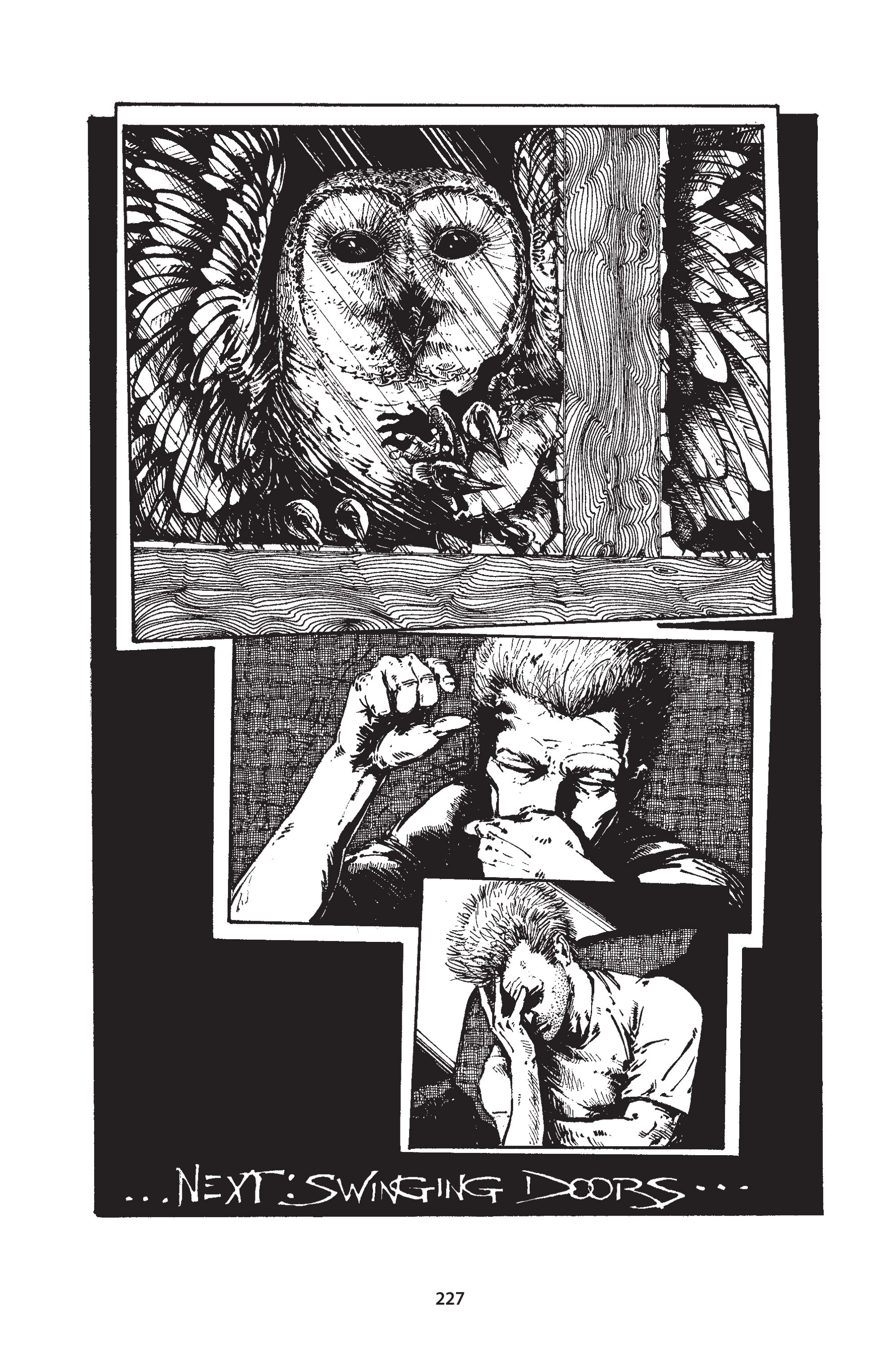 Read online The Puma Blues comic -  Issue # TPB (Part1) - 236