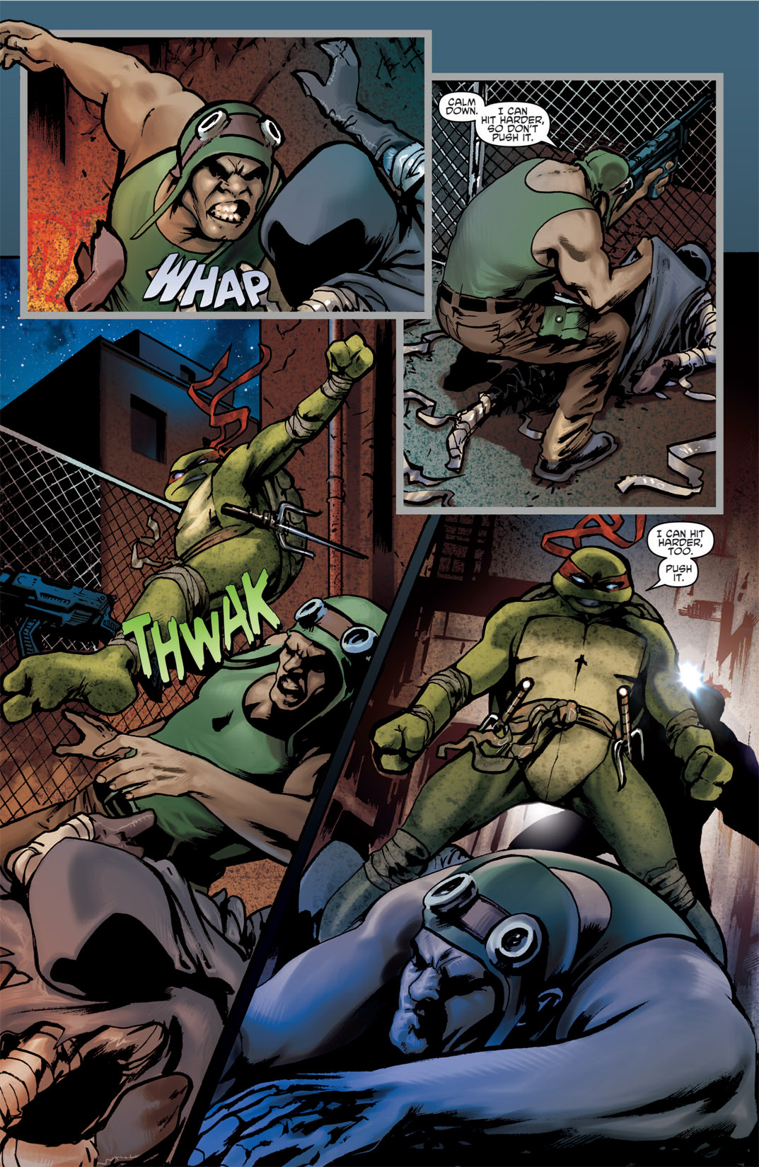 Read online Teenage Mutant Ninja Turtles Micro-Series comic -  Issue #1 - 12