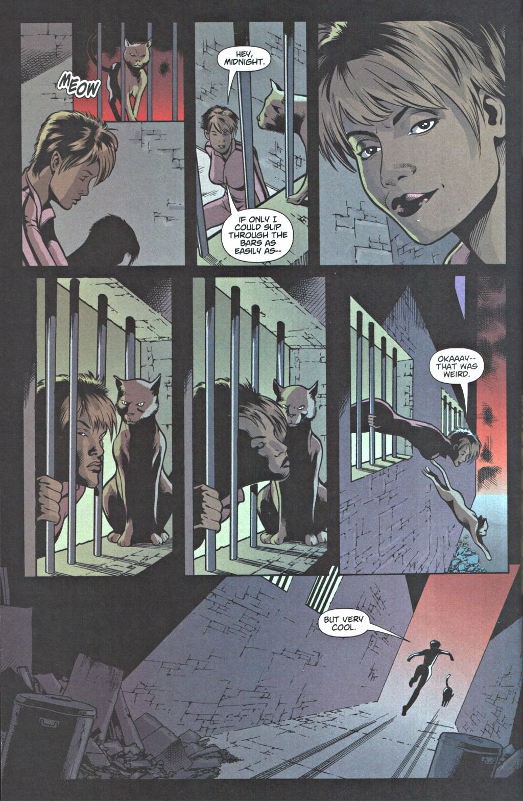 Read online Catwoman: The Movie comic -  Issue # Full - 41