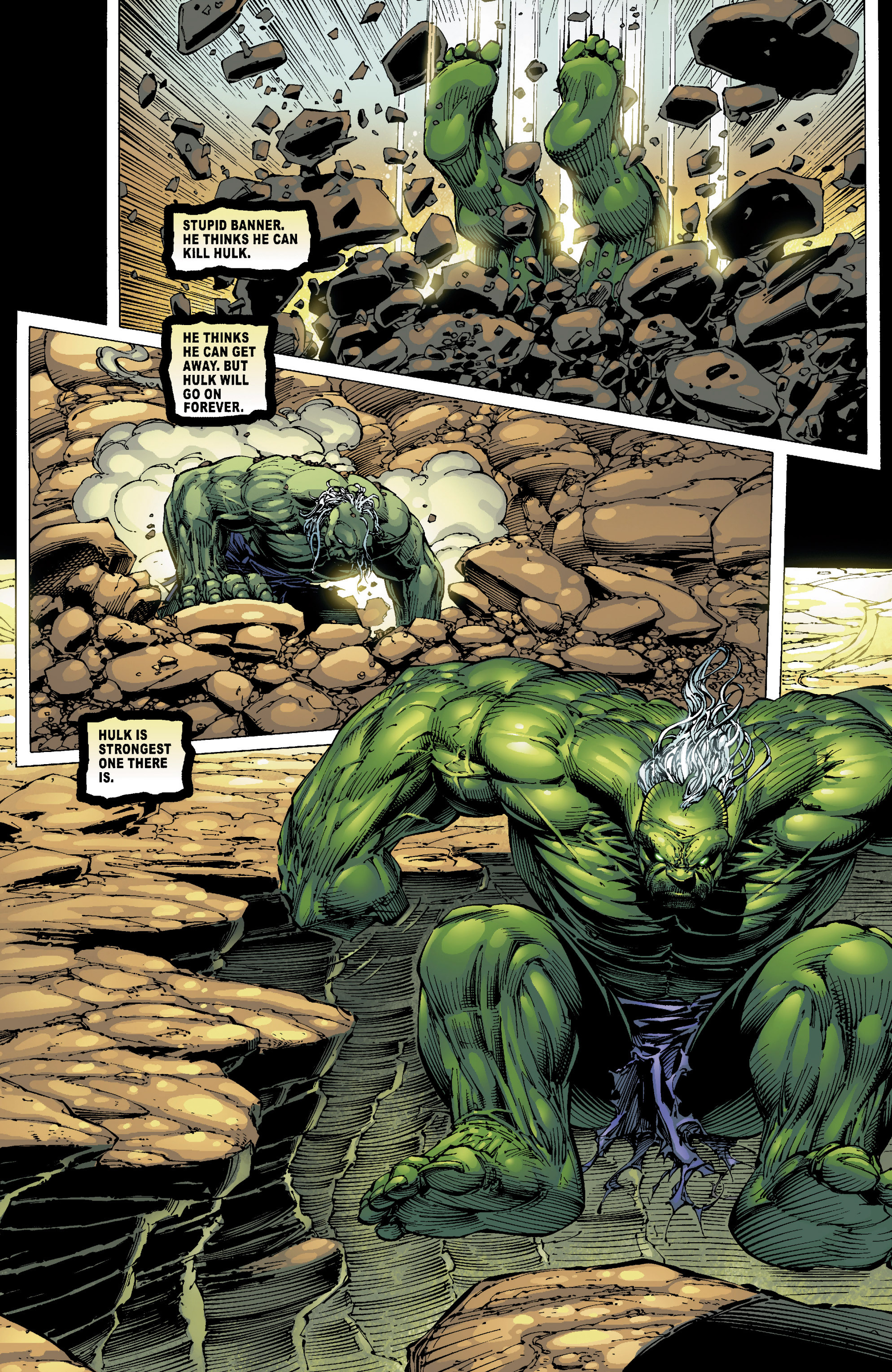 Read online Incredible Hulk: The End comic -  Issue # TPB - 31