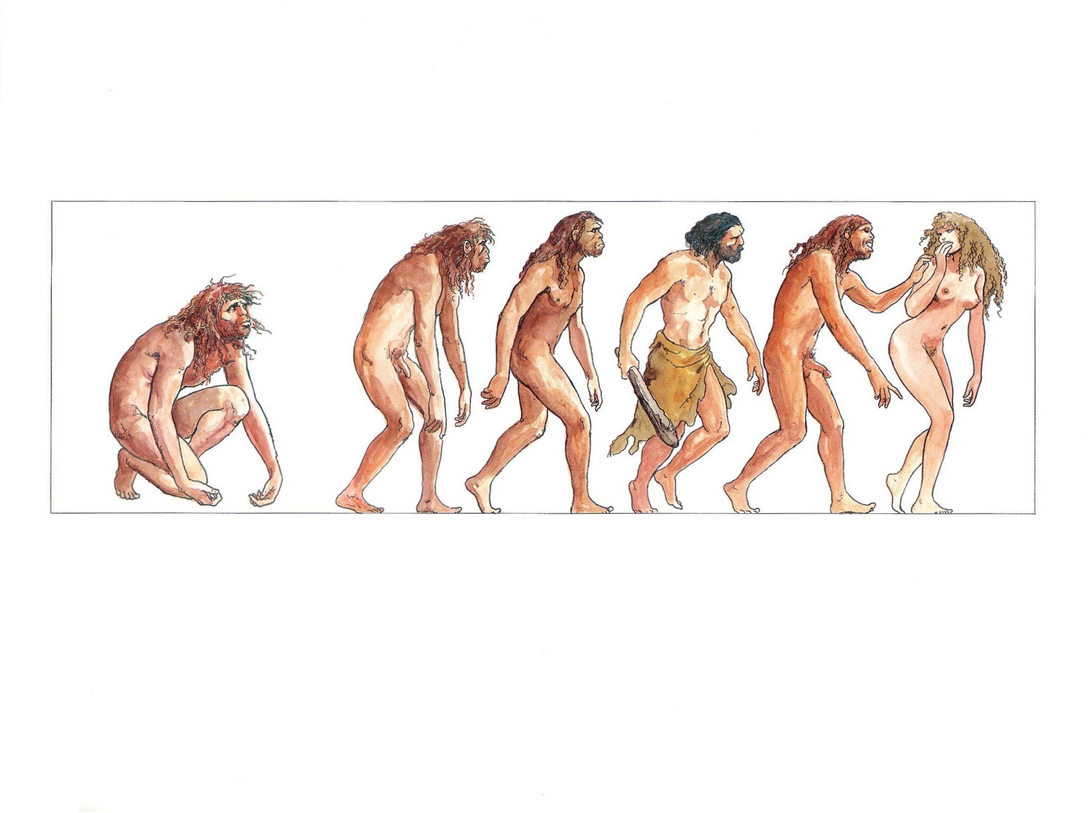 Read online Bolero (1999) comic -  Issue # Full - 6