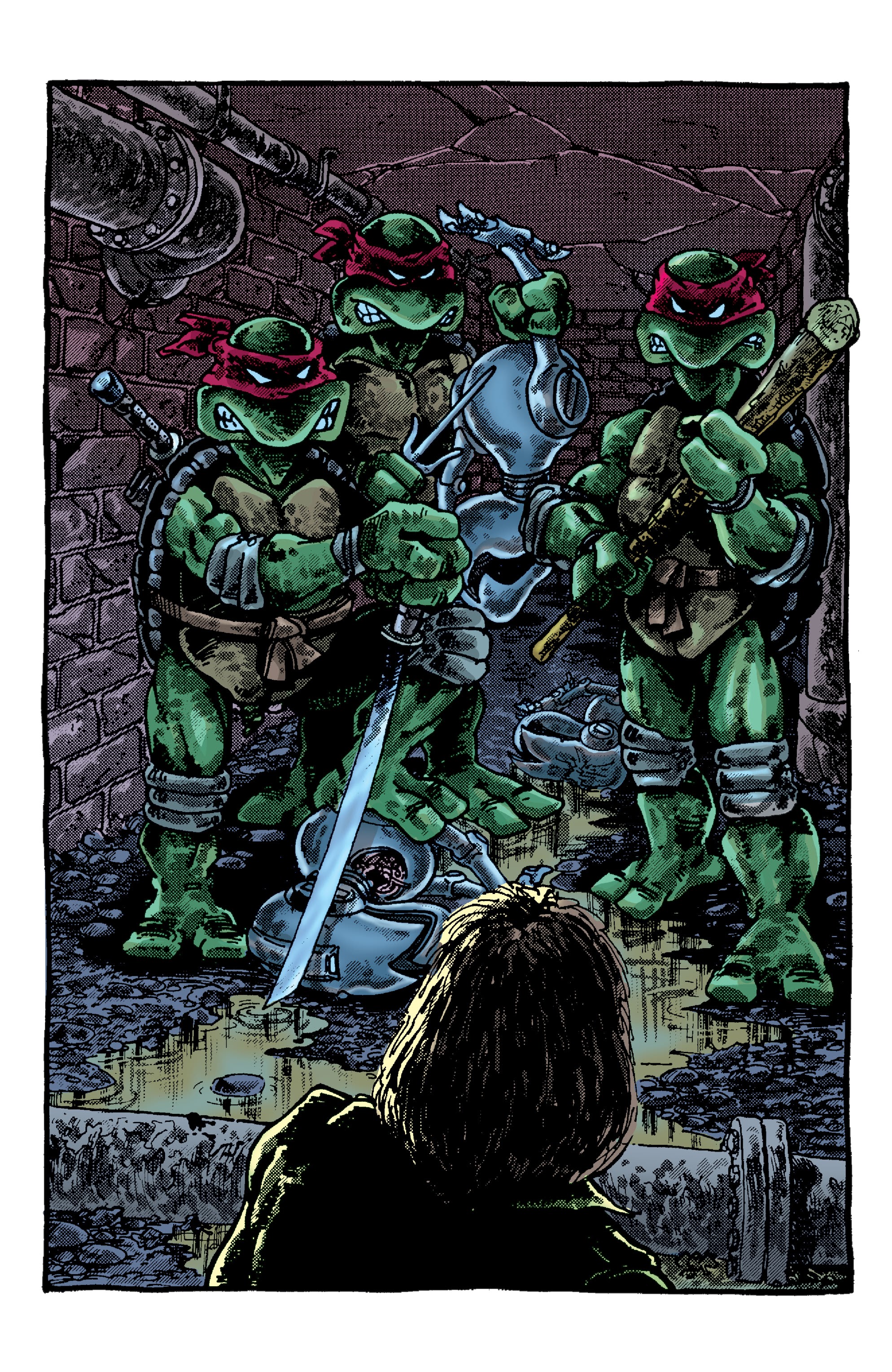 Read online Teenage Mutant Ninja Turtles: Best Of comic -  Issue # Best of April O’Neil - 18