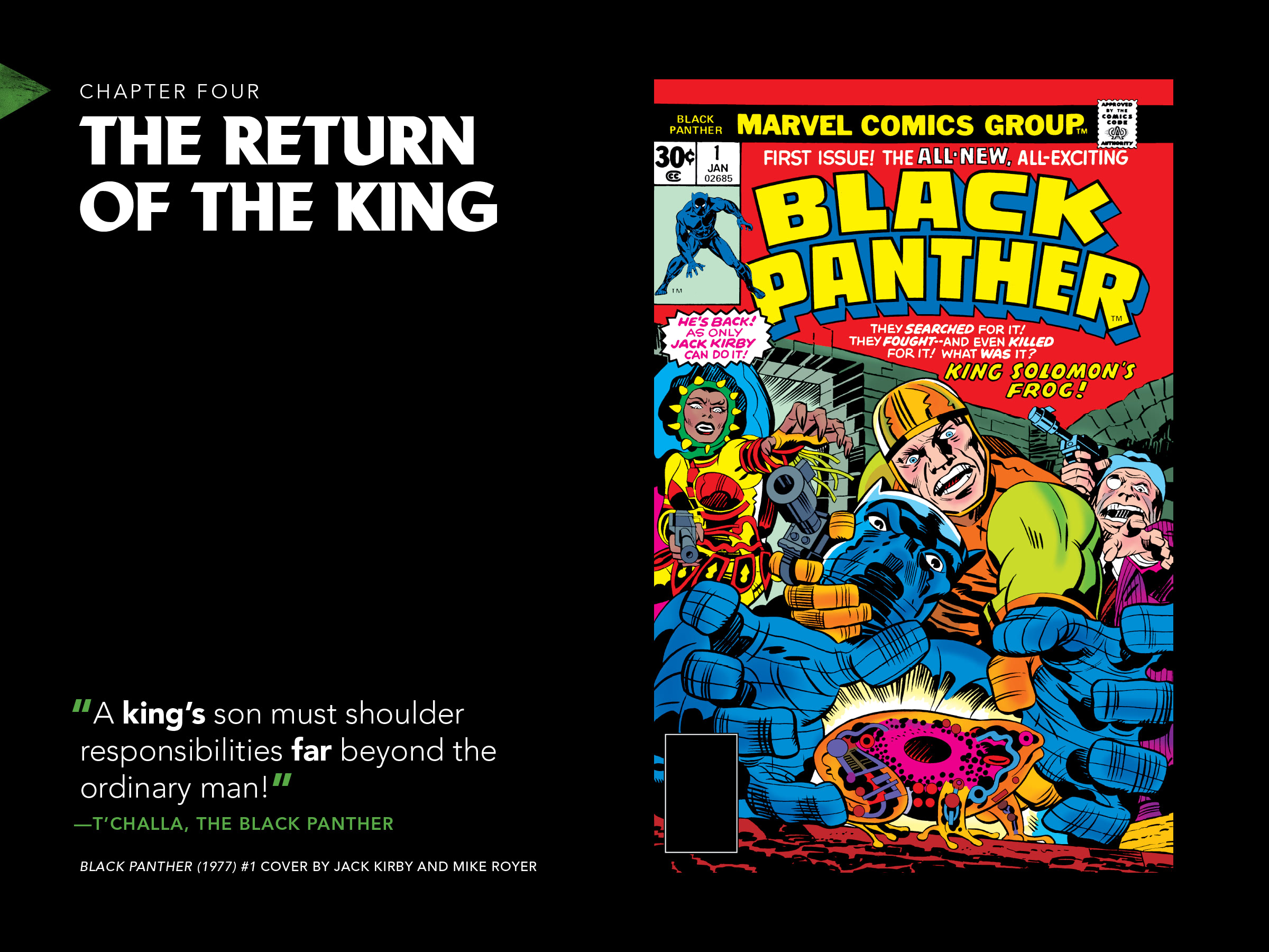 Read online Black Panther: Visions of Wakanda comic -  Issue # TPB (Part 1) - 86