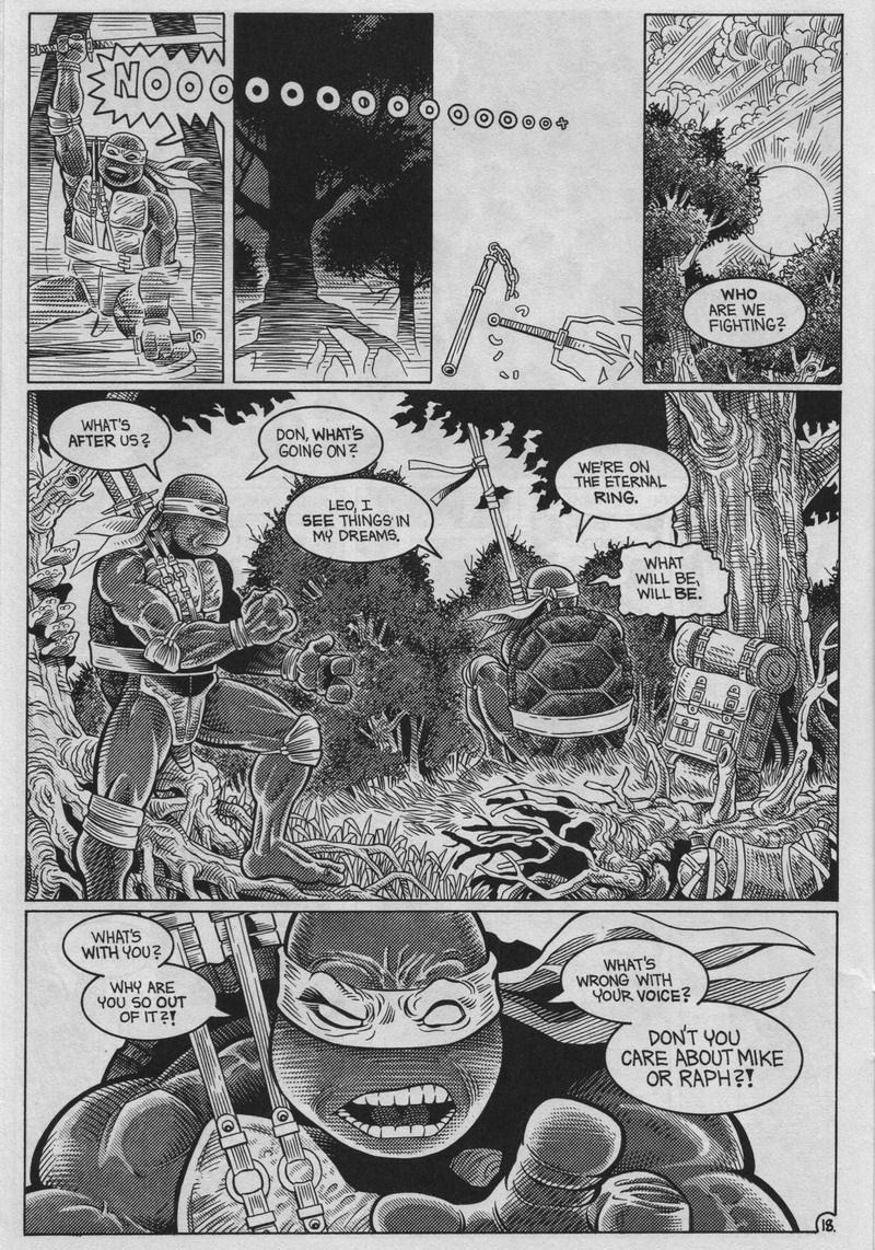 Teenage Mutant Ninja Turtles (1984) Issue #37 #37 - English 18