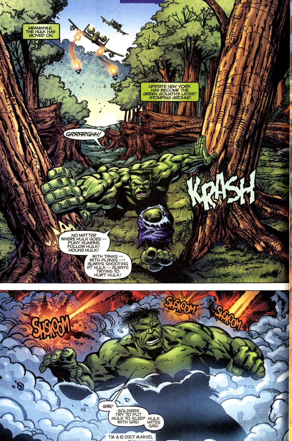 Read online The Incredible Hulk (1968) comic -  Issue # _Annual 2001 - 14