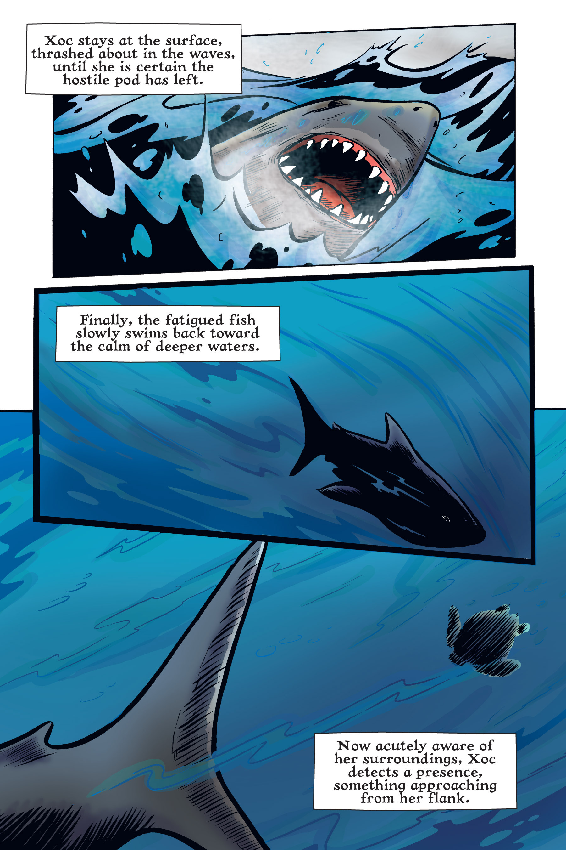 Read online Xoc: Journey of a Great White comic -  Issue # TPB - 47
