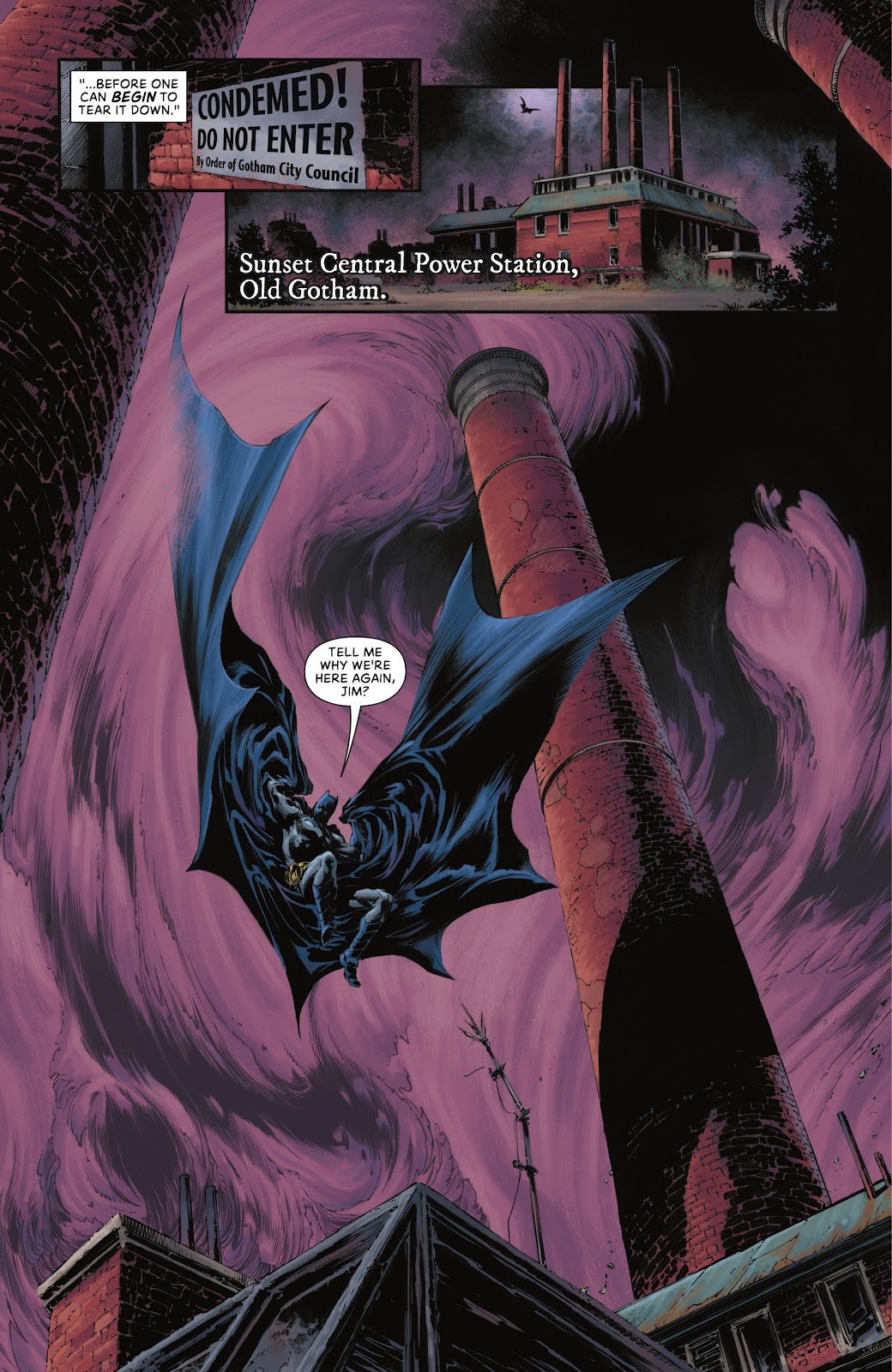 Detective Comics (2016) issue 1066 - Page 17