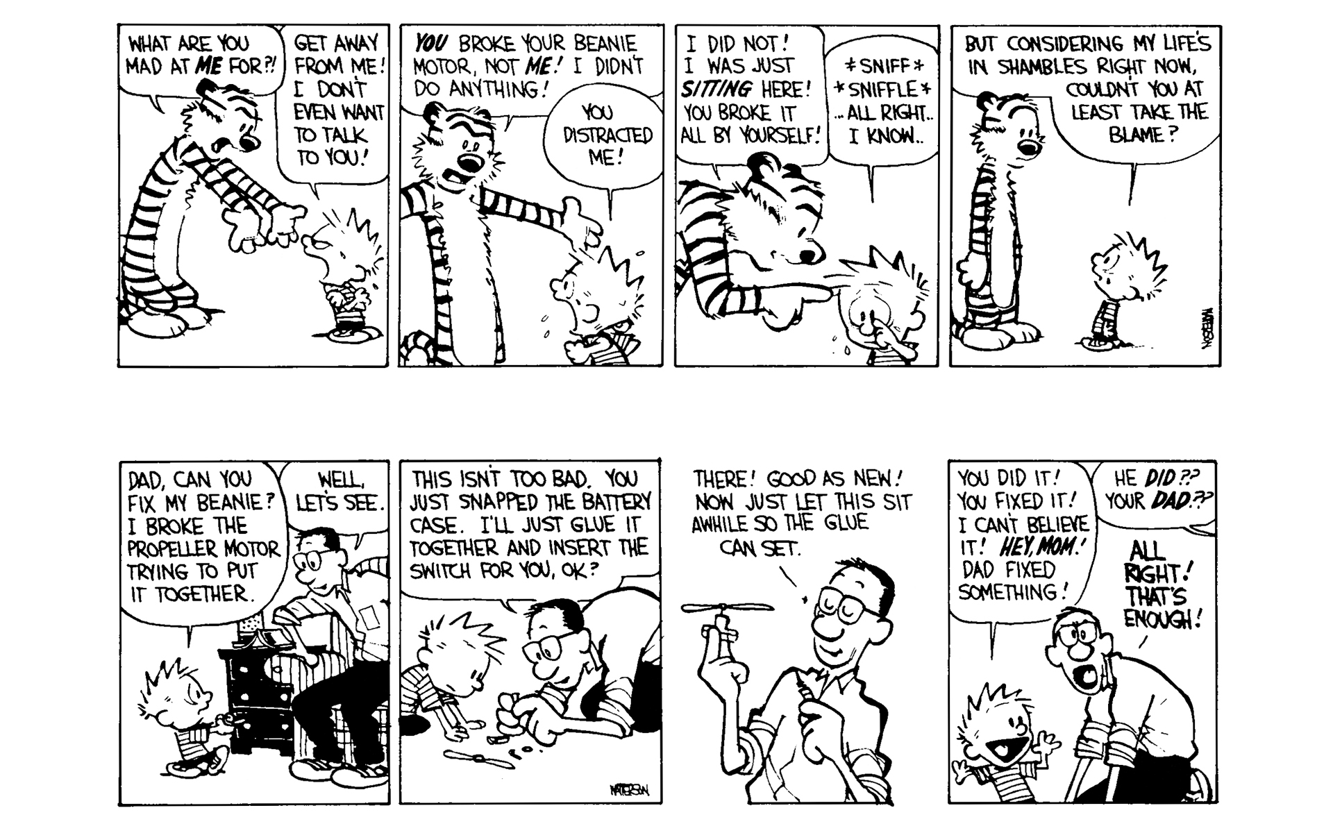 Read online Calvin and Hobbes comic -  Issue #5 - 65
