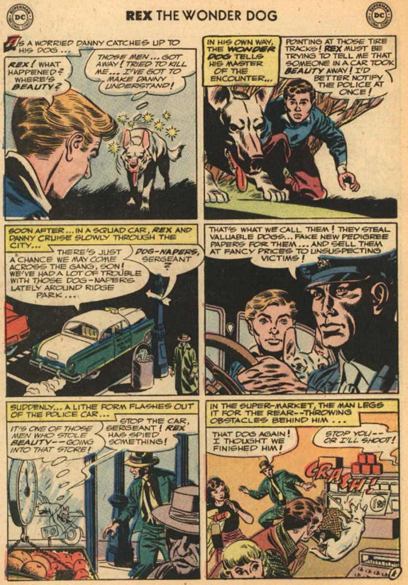 Read online The Adventures of Rex the Wonder Dog comic -  Issue #5 - 28