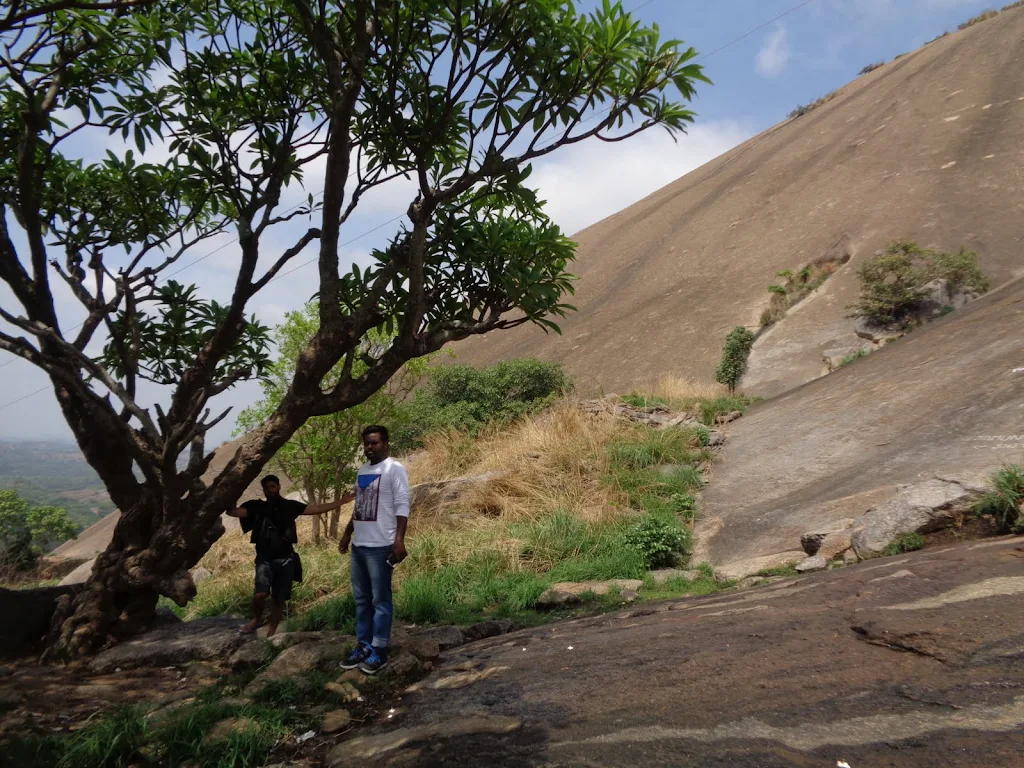 Savandurga Road: View of the winding road approaching the base of the hill, surrounded by trees.