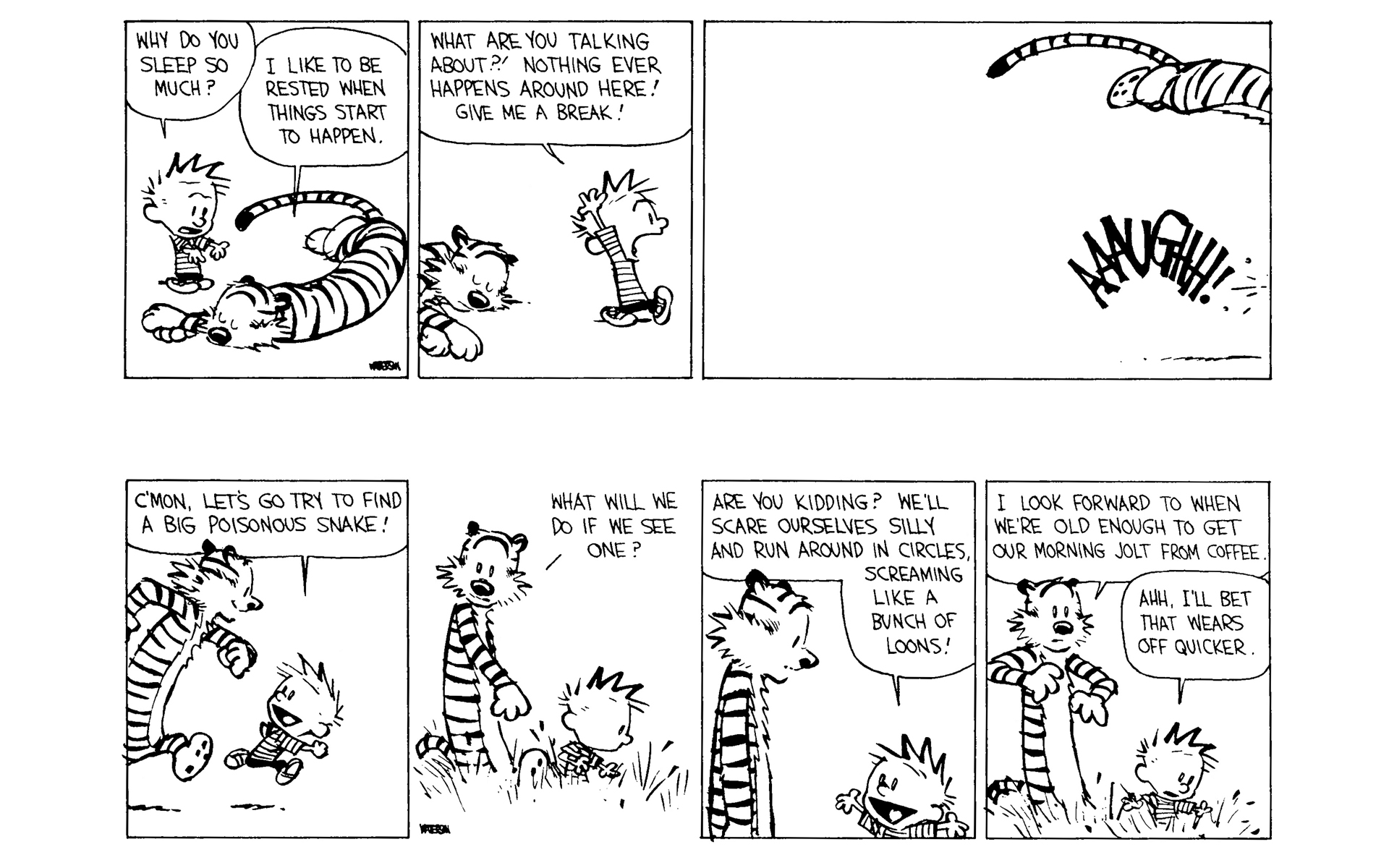 Read online Calvin and Hobbes comic -  Issue #8 - 122