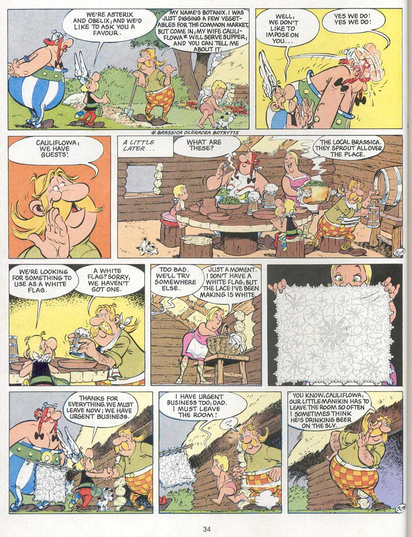 Asterix issue 24 - Page 31