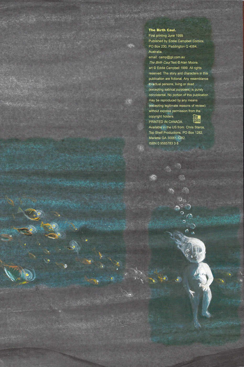 Read online The Birth Caul comic -  Issue # Full - 2