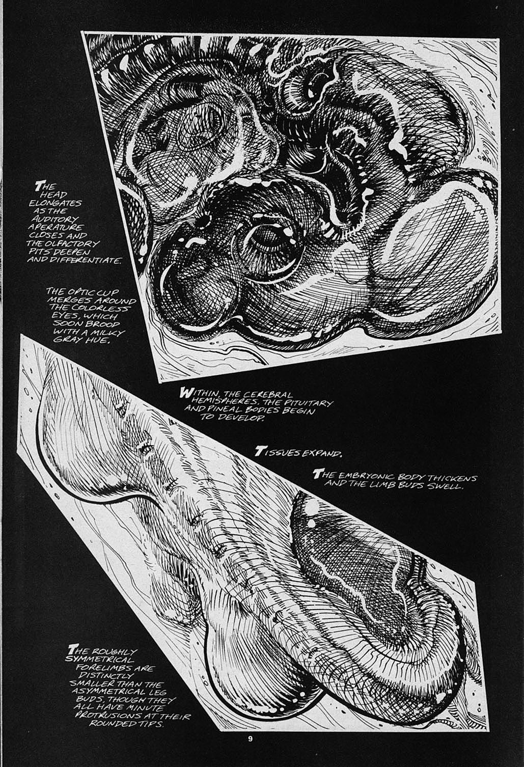Read online S.R. Bissette's Tyrant comic -  Issue #3 - 11