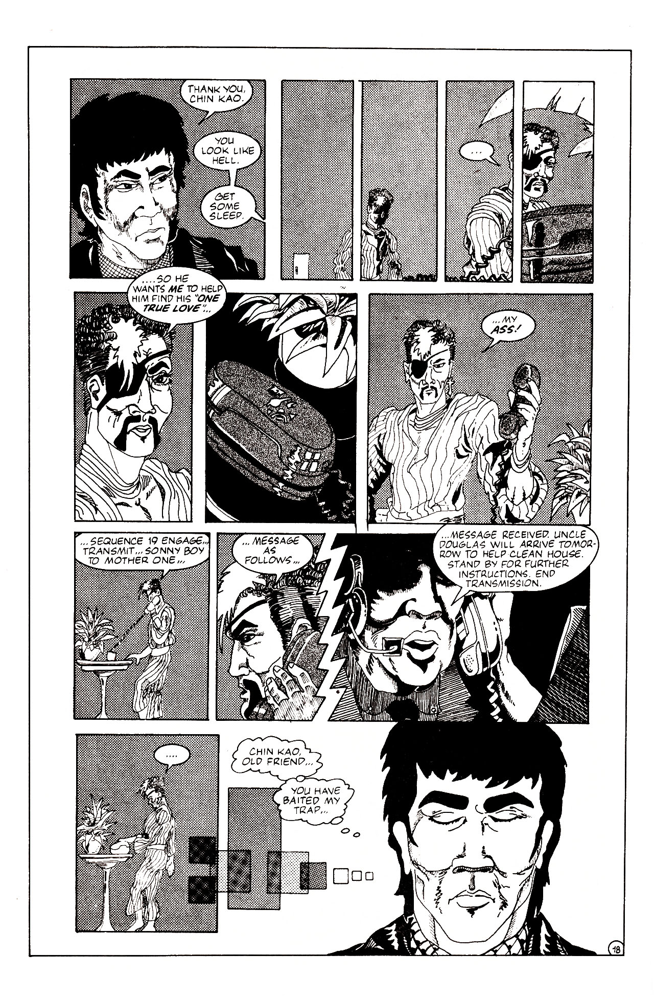 Read online Ninja Funnies comic -  Issue #2 - 21