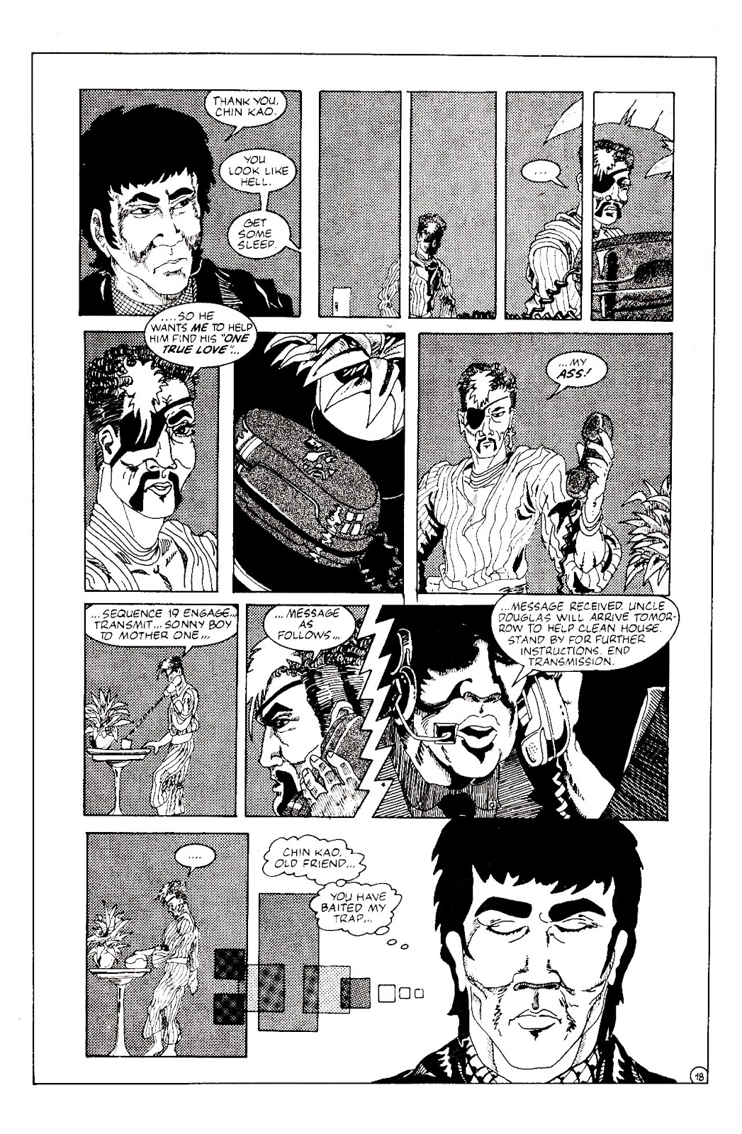 Ninja Funnies issue 2 - Page 21