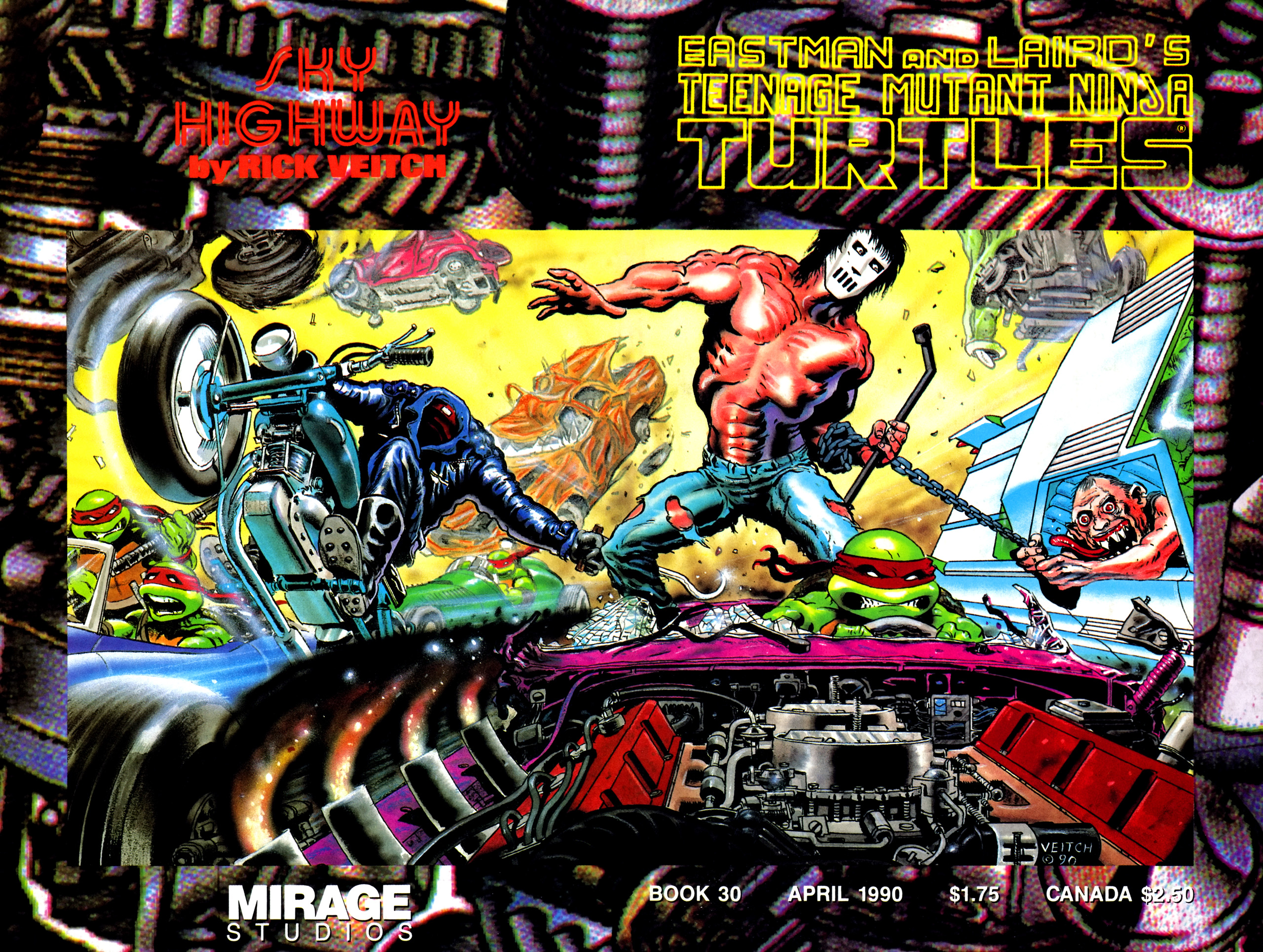Read online Teenage Mutant Ninja Turtles (1984) comic -  Issue #30 - 1