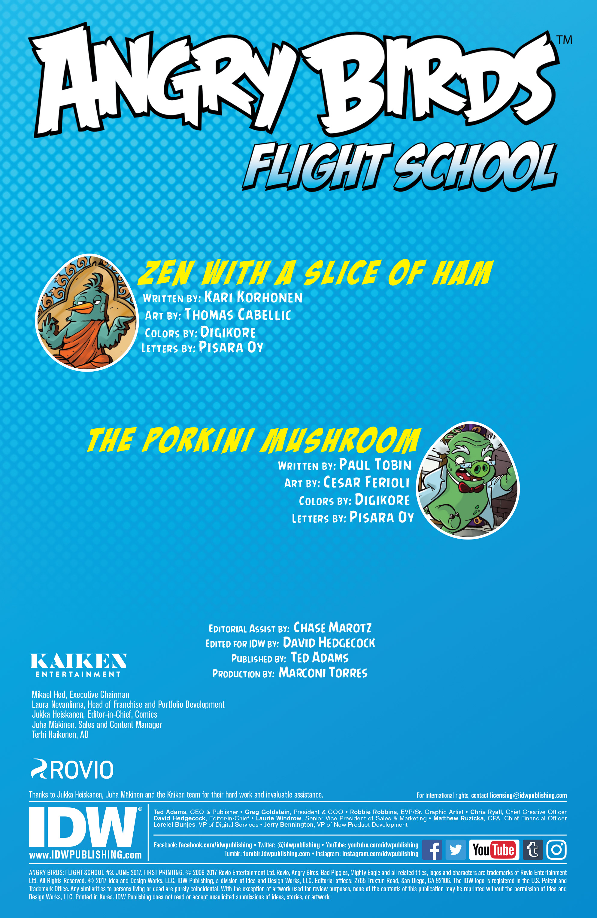 Read online Angry Birds: Flight School comic -  Issue #3 - 2