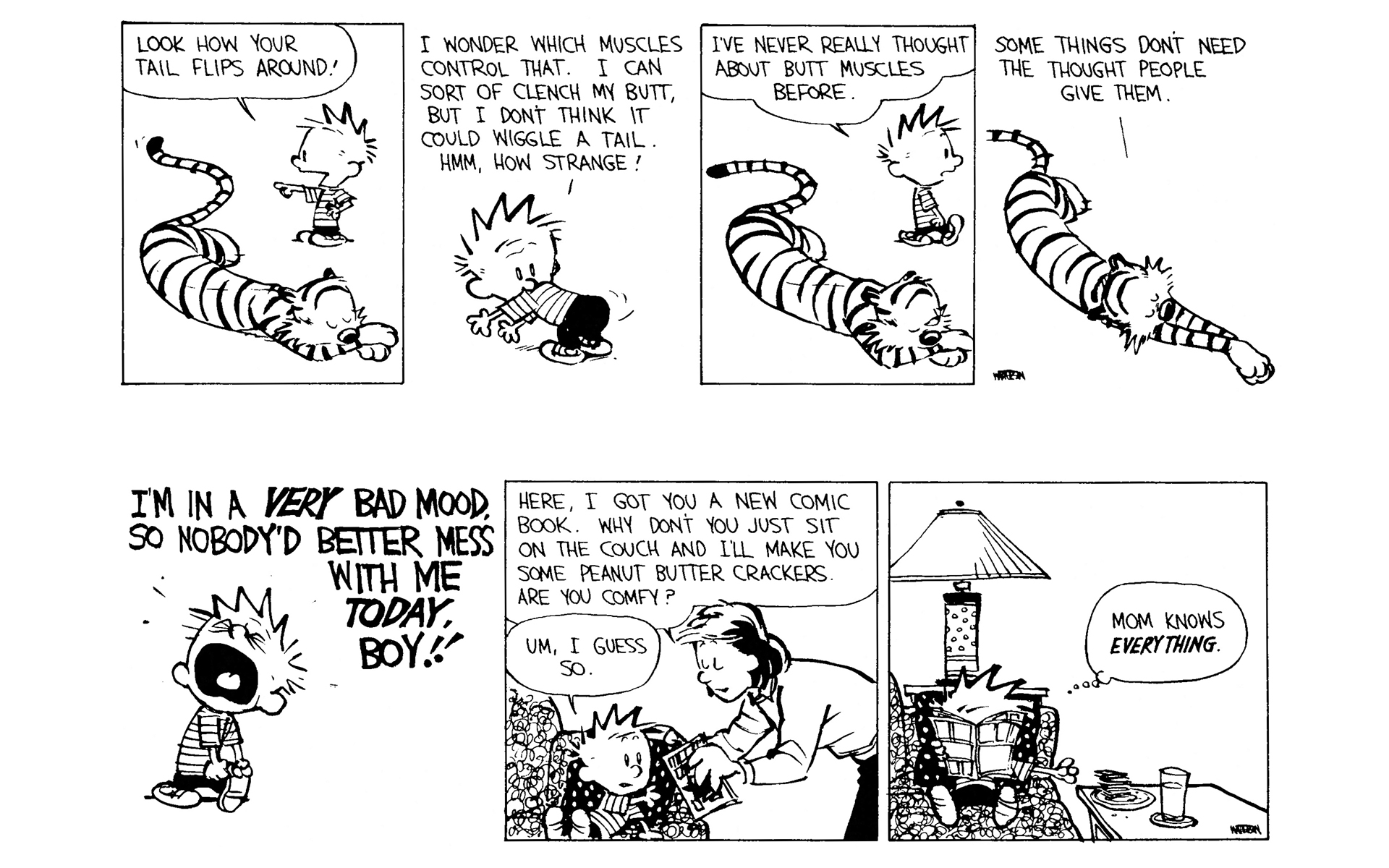 Read online Calvin and Hobbes comic -  Issue #8 - 159